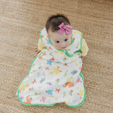 Sleep Bag - Sesame Friends