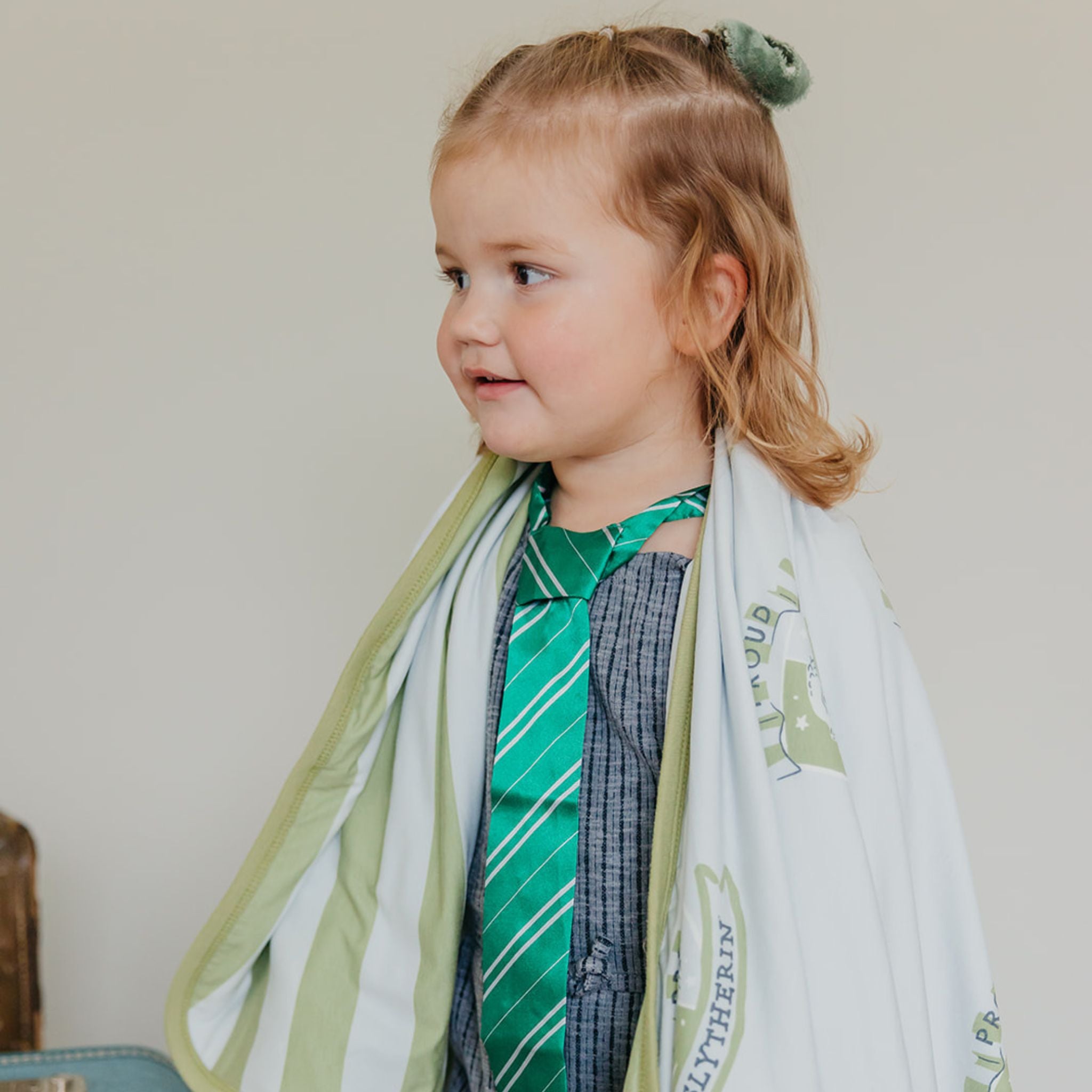 Three-Layer Quilt - Slytherin