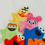 Wash Mitt - Cookie Monster