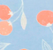 Clementine