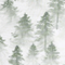 Evergreen