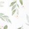 Fern