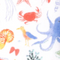 Nautical