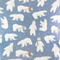 Polar