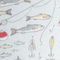 Trout