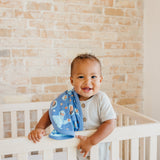 Three-Layer Security Blanket Set - Cookie Monster