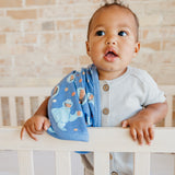 Three-Layer Security Blanket Set - Cookie Monster