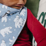 Baby Bandana Bibs - Polar
