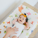 Premium Knit Diaper Changing Pad Cover - Sesame Friends