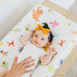 Premium Knit Diaper Changing Pad Cover - Sesame Friends