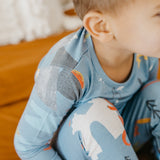 2pc Long Sleeve Pajama Set - Viking