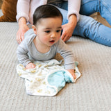 Three-Layer Security Blanket Set - Chip