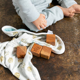 Three-Layer Security Blanket Set - Chip
