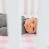 Premium Knit Fitted Crib Sheet - London